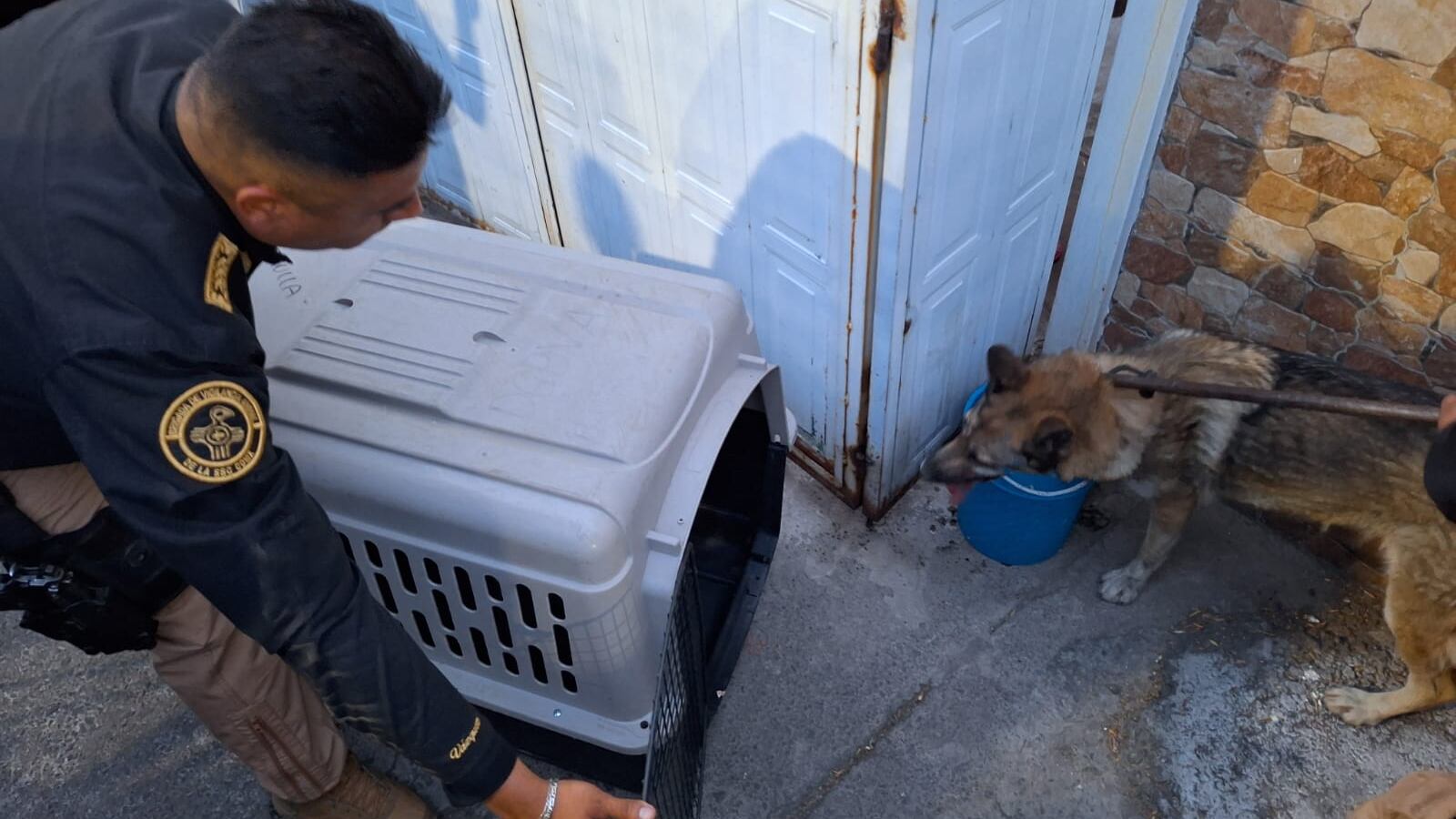 Escape de lobo en el Zoológico de Aragón moviliza a policías y vecinos