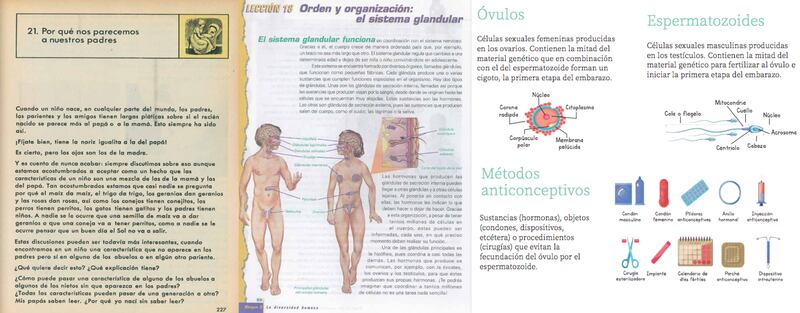 Libros de la SEP con el pasar de los años (SEP)