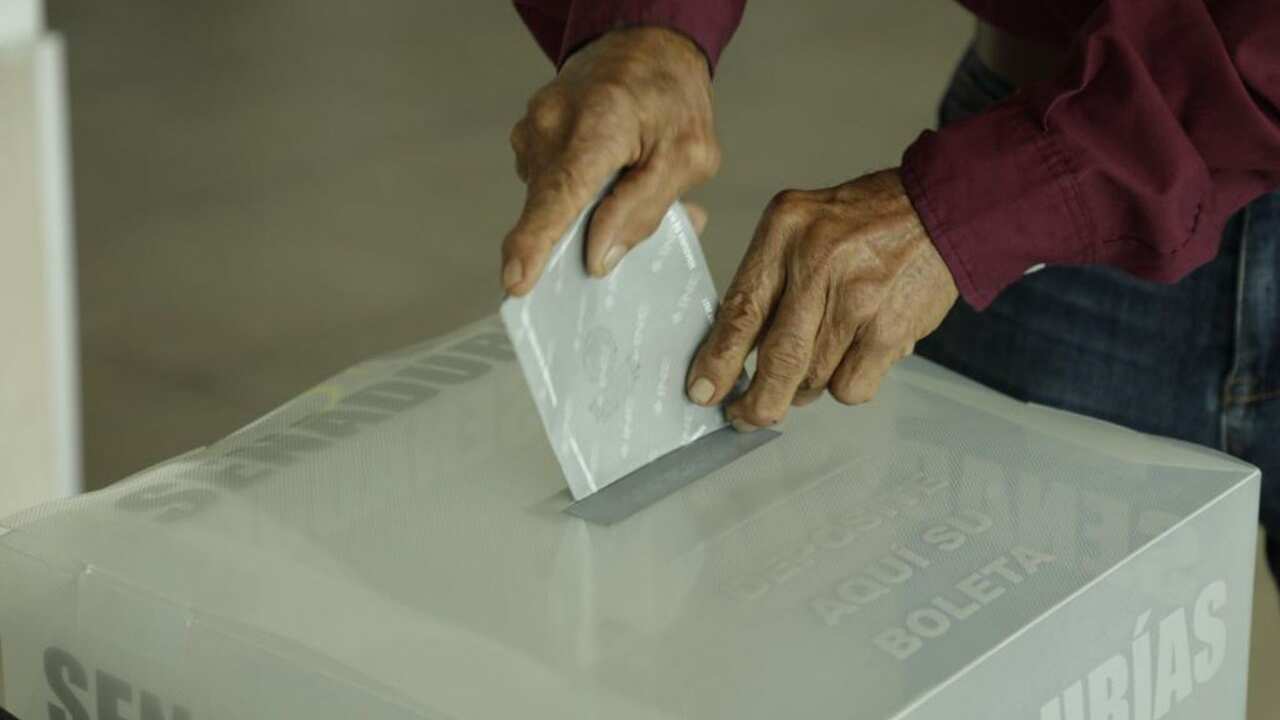 El próximo año puede incrementarse la circulación de noticias falsas. (Cuartoscuro)