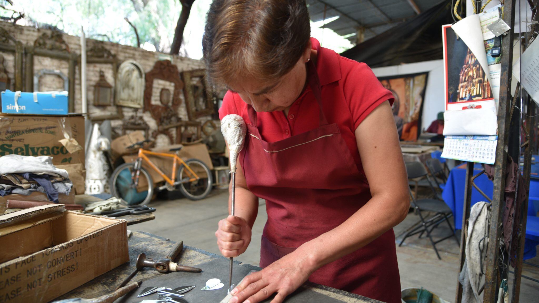 Se unen al Programa Galilea para actualizar sus conocimientos sobre plataformas digitales.