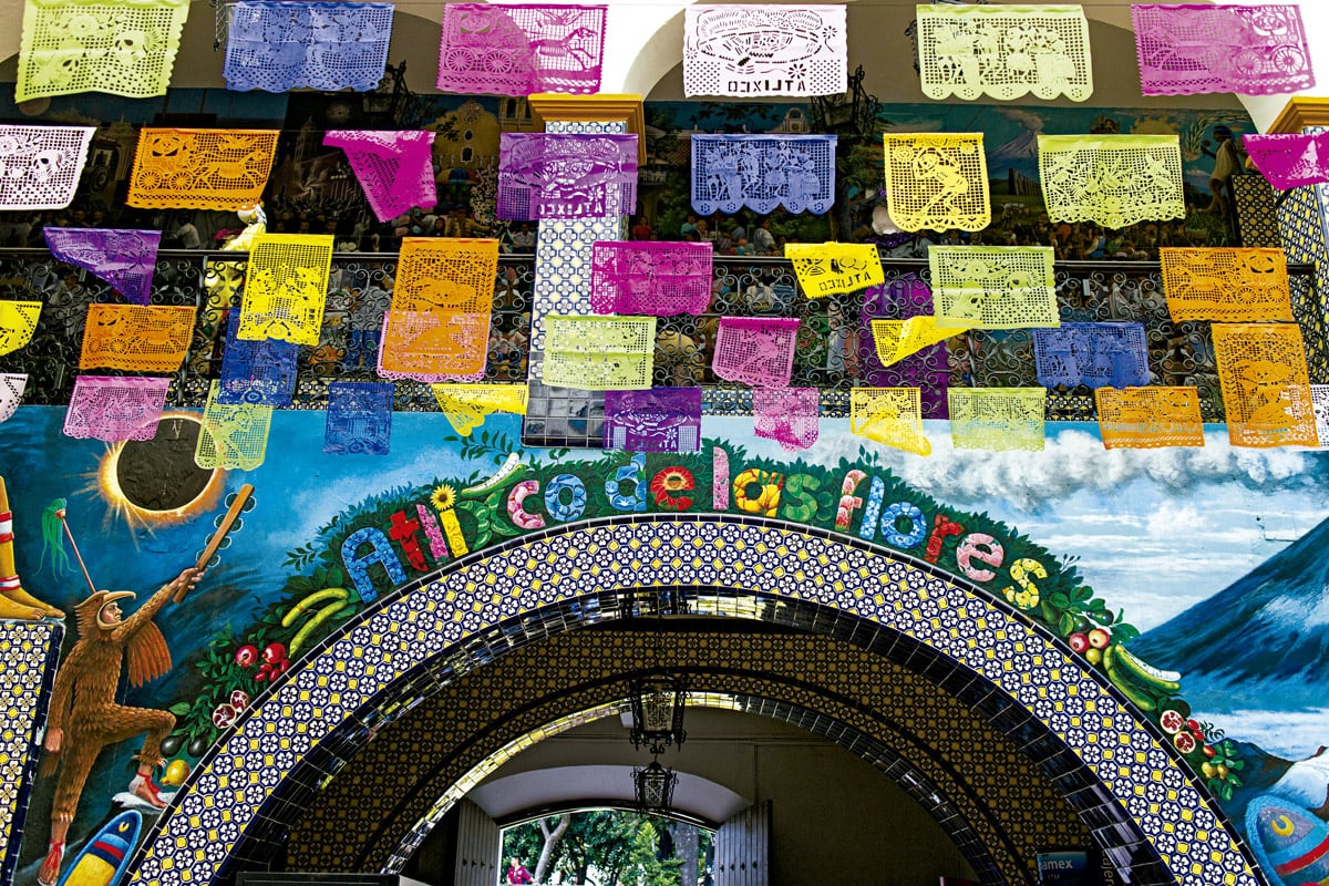 Te enamorarás de sus olores y colores.