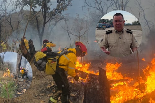 Incendio forestal en La Primavera ya está controlado, reporta PC