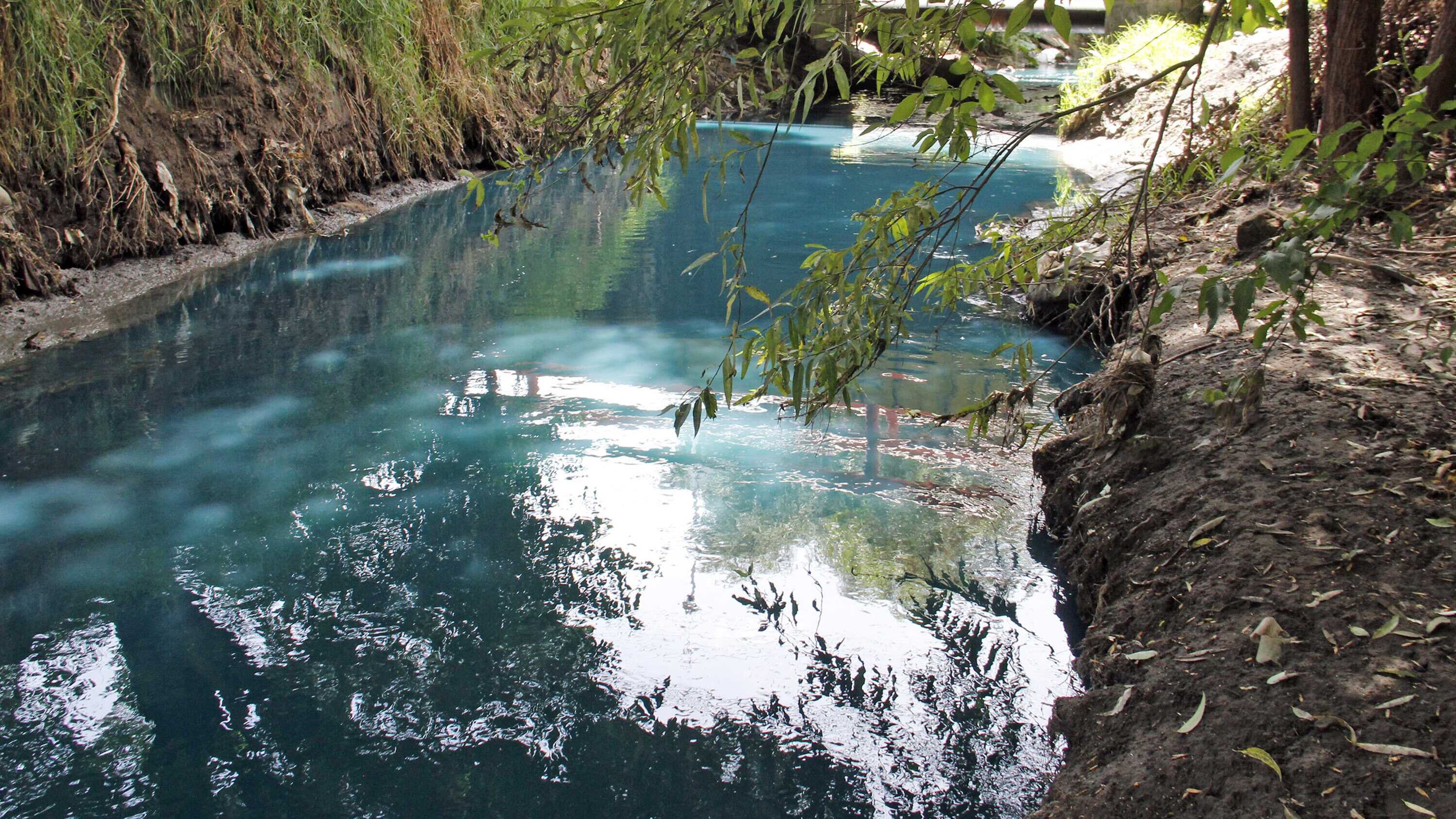 FOTO: Agencia Enfoque