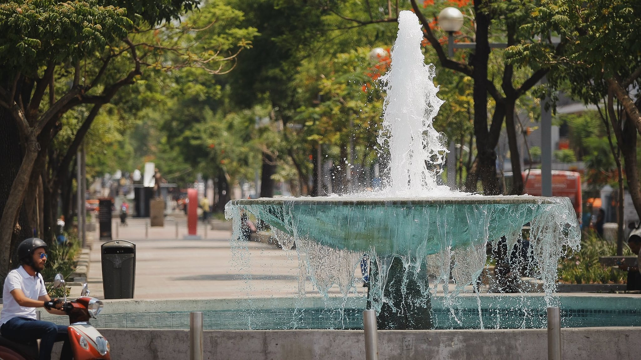 En la colonia Americana se encuentra la avenida Chapultepec, núcleo de la vida nocturna de Guadalajara.