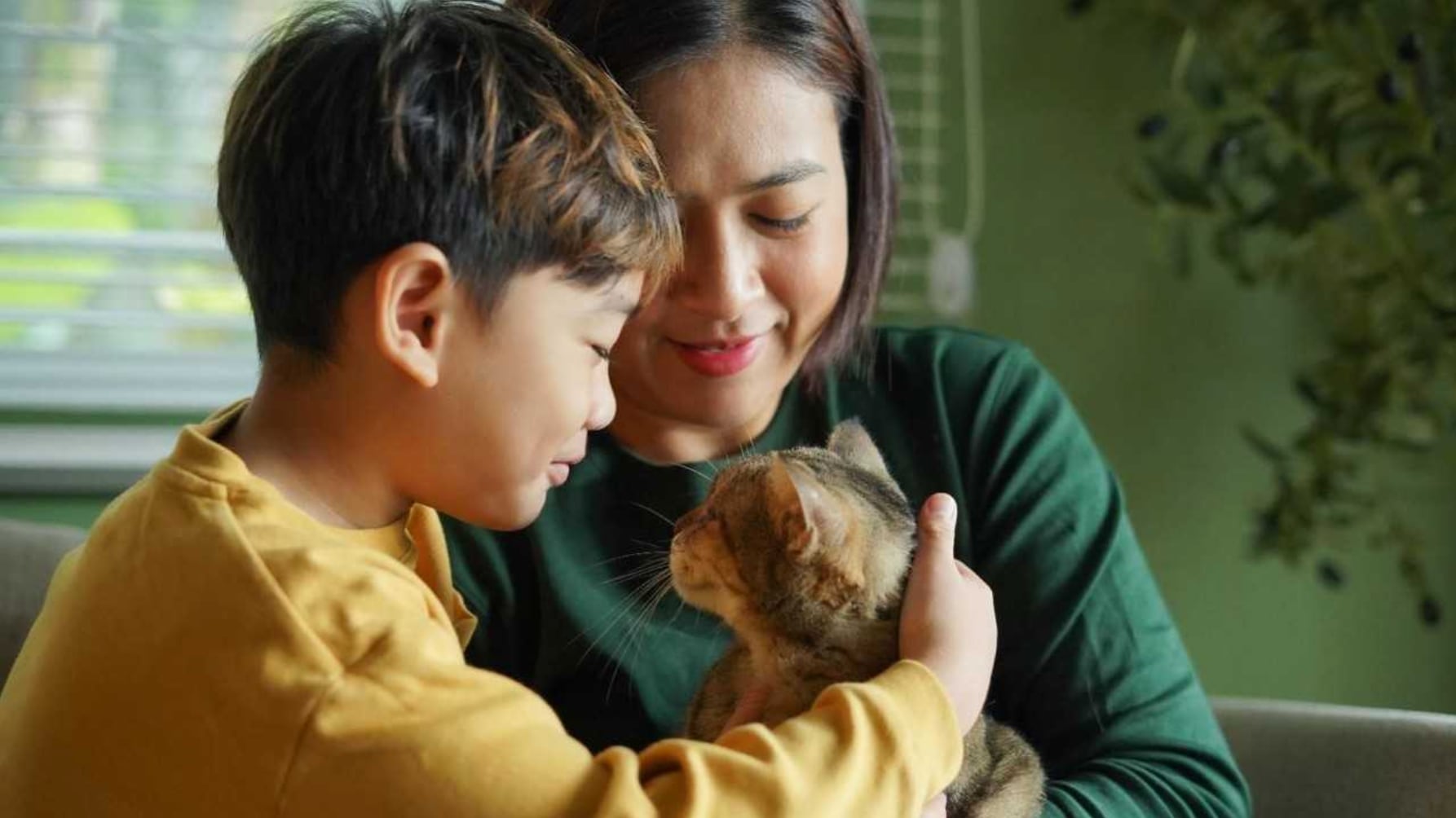 Adopción de mascotas