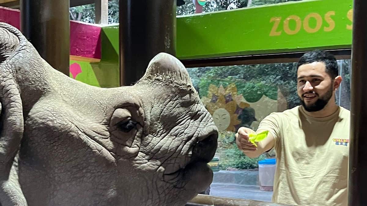 Cuenta con más de 5 mil animales de 300 diferentes espacie de todos los continentes.