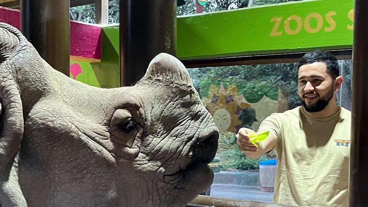 Cuenta con más de 5 mil animales de 300 diferentes espacie de todos los continentes.