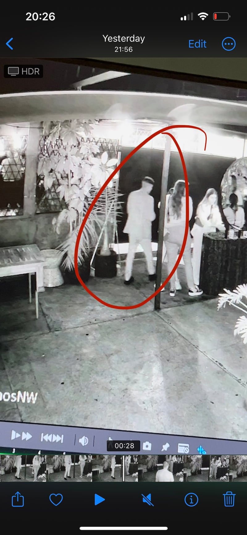 Joven usuaria de Twitter relató acoso en un bar de la CDMX