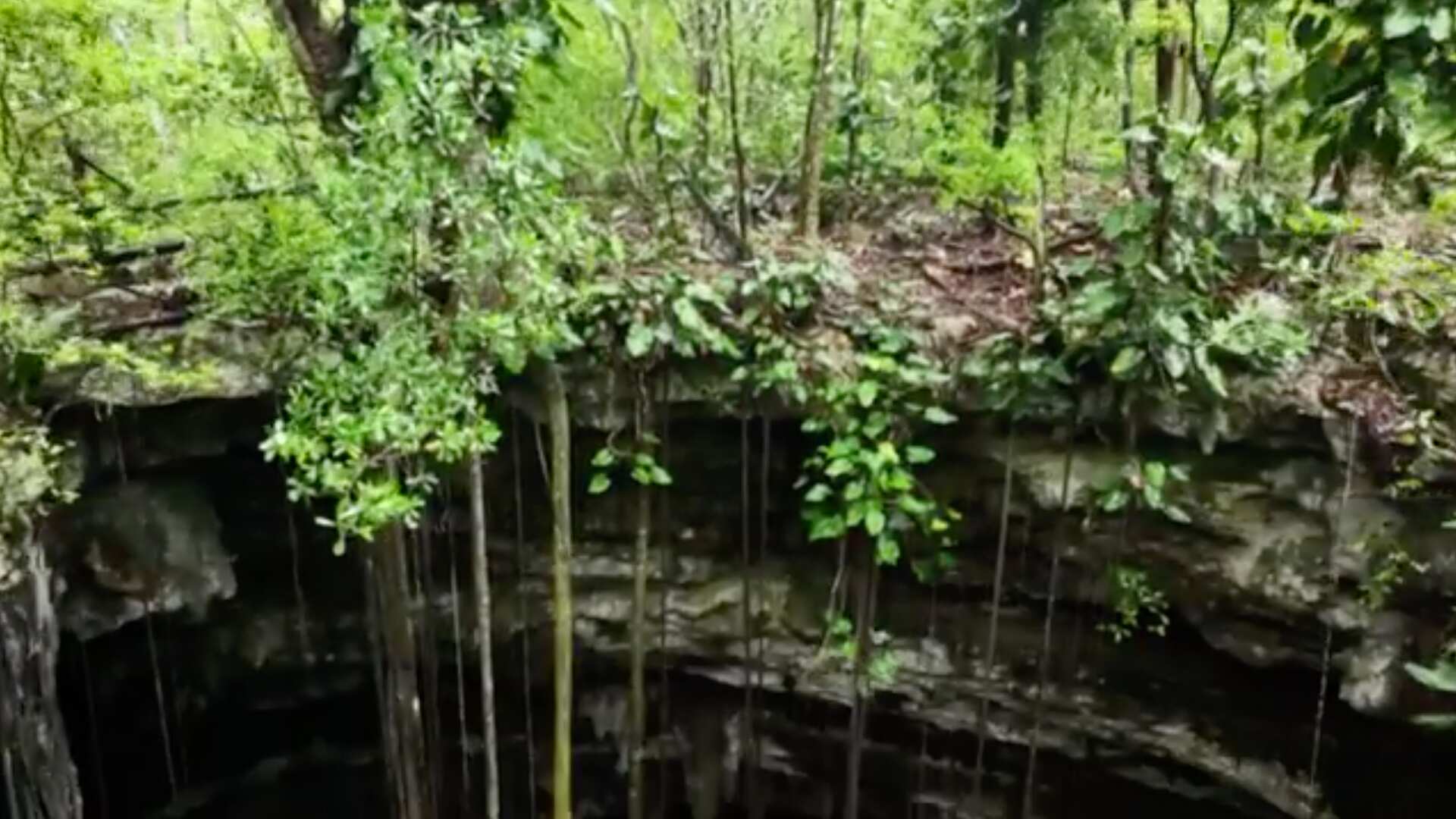 Tren Maya, encuentran reliquias en construcción.