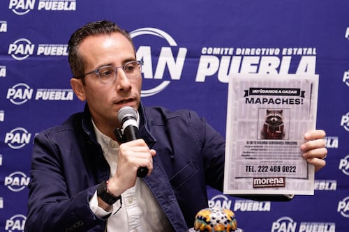 PAN lanza campaña para “cazar mapaches electorales” y denunciar promoción anticipada