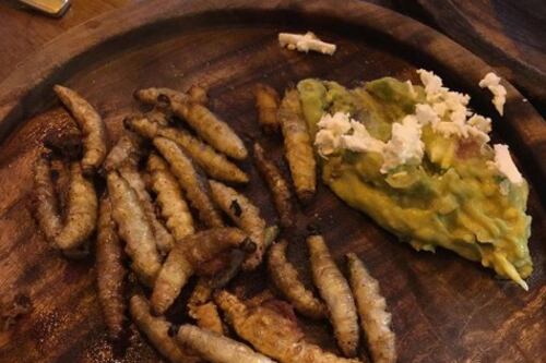 15 platillos de la comida mexicana que muchos no se atreven a probar