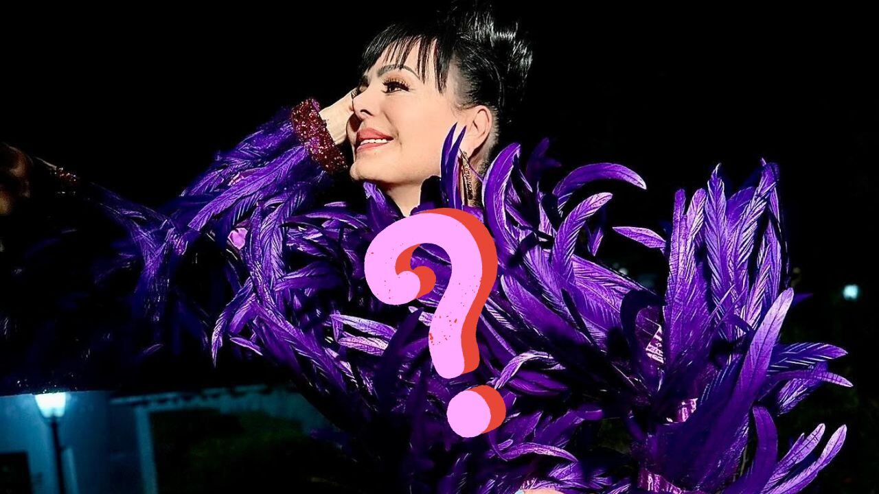 Anunció que trabajará en un proyecto con Lucía Méndez.