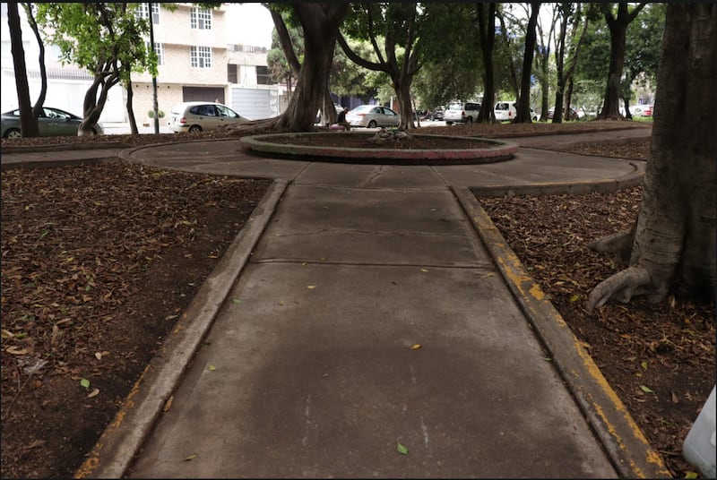 Coyoacán limpian parques y jardines