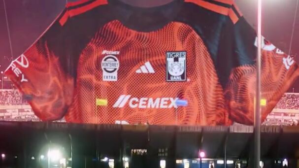 Camiseta Tigres