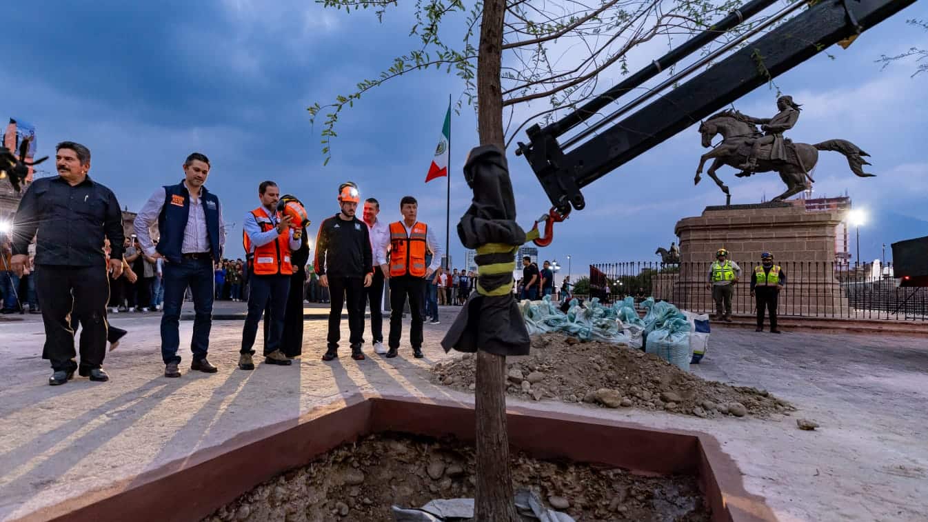 El proyecto contemplará 32 sabinos, árbol icónico del país y 32 encinos roble