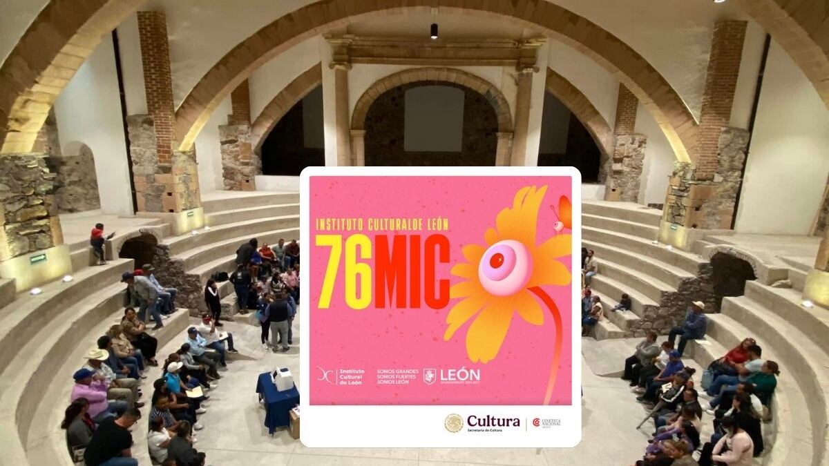 Muestra Internacional de Cine.