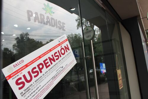 Cofepris suspende sucursal de Paradise, empresa de Fox que vende productos de cannabis