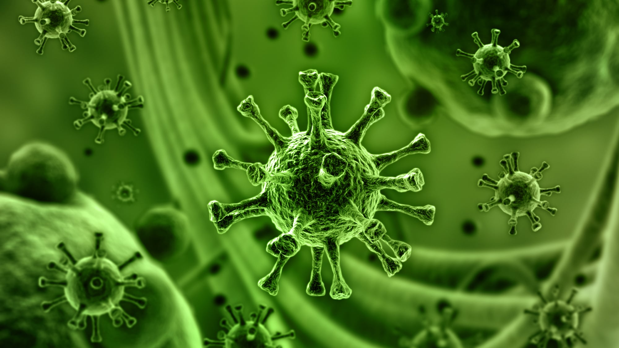 La circulación se incrementa en la temporada invernal. (Dreamstime)