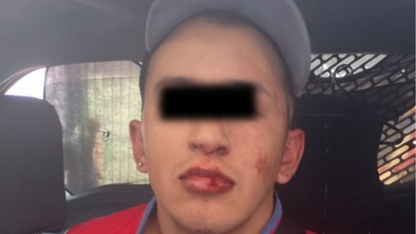 Asesina al matón de sus perritos