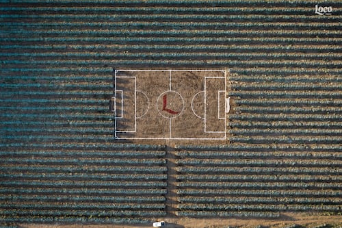 El fotógrafo Santiago Arau revela la identidad de México a través de sus canchas