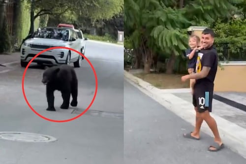 Video: Así fue la reacción de Ángel Correa al enfrentar a un oso afuera de su casa