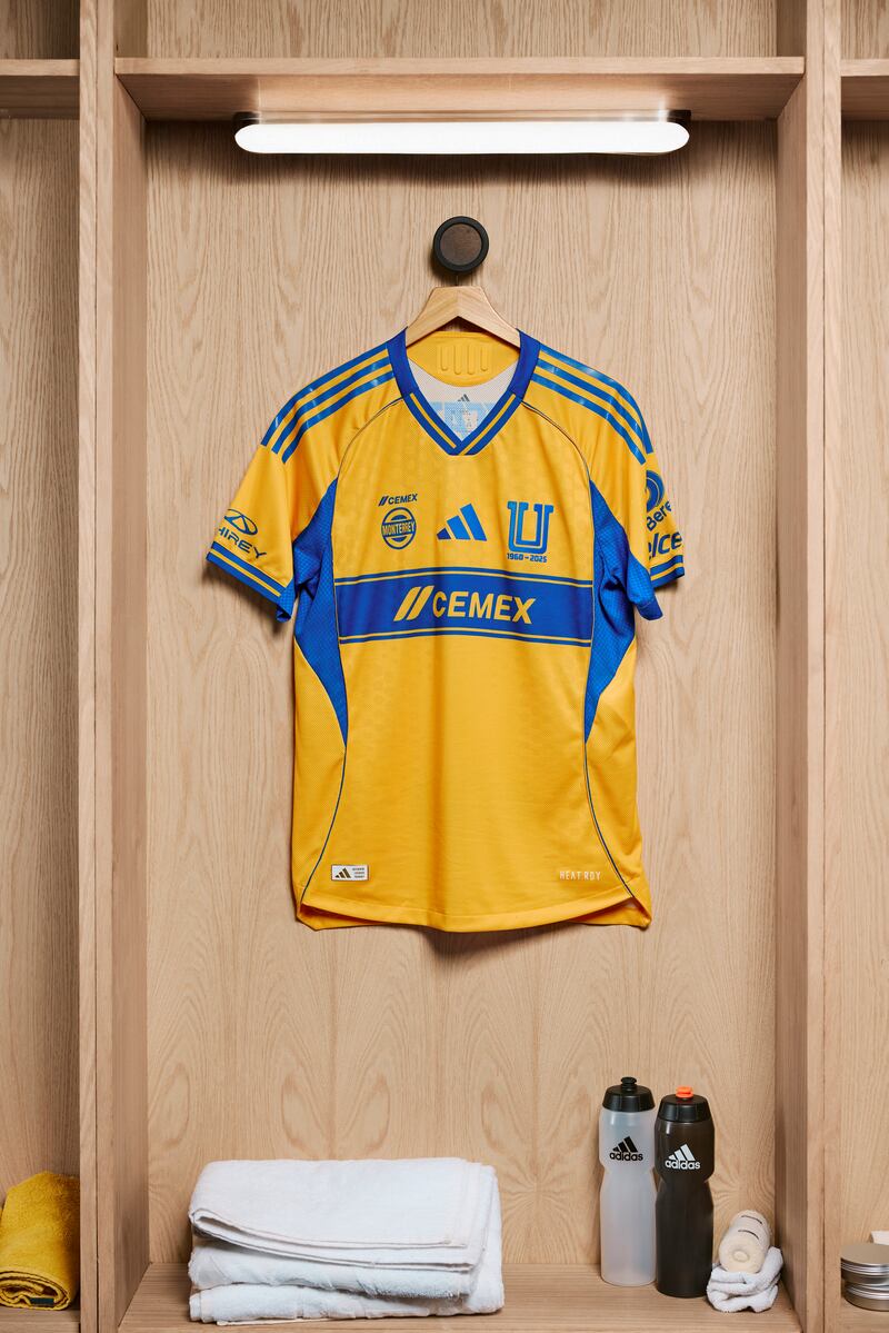 Tigres