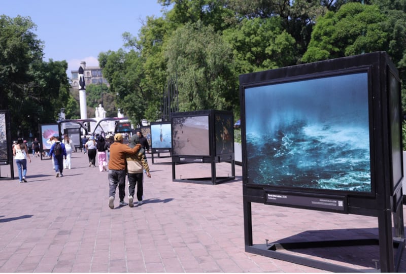 "Aqüifera: Festival del Bosque 2026"