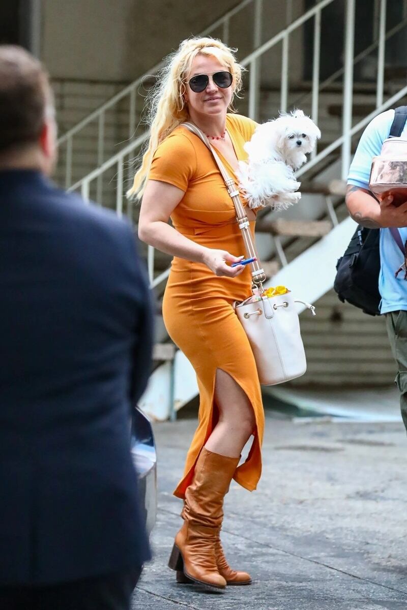Britney Spears. Page Six