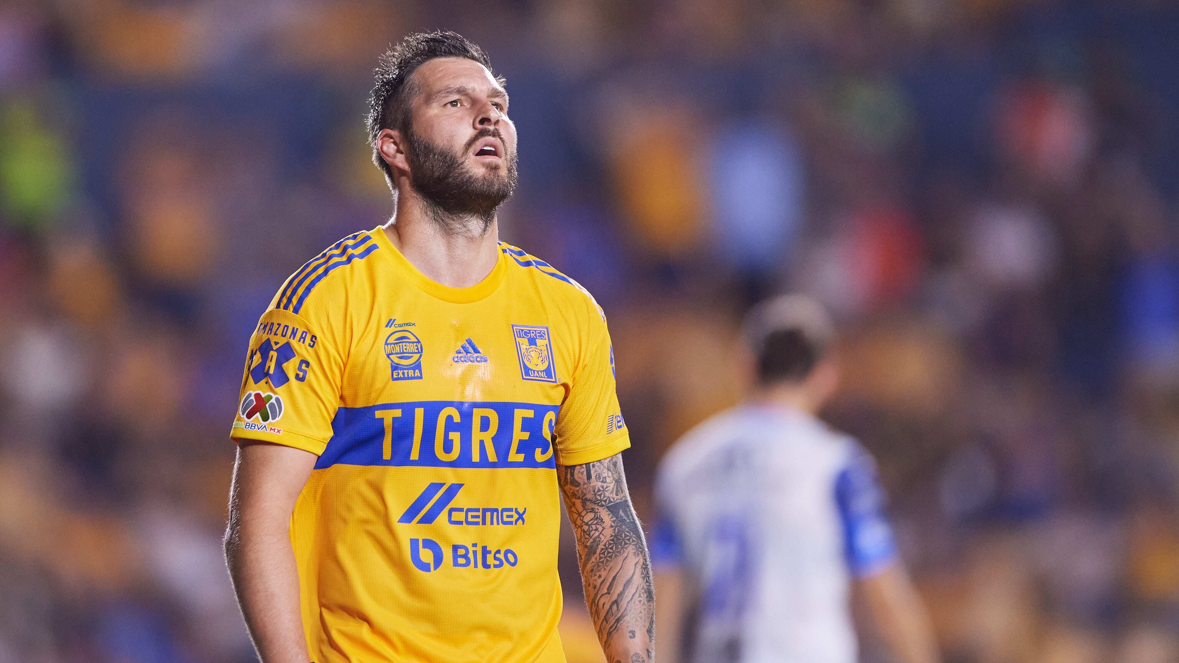 Gignac Tigres
