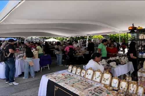 Bazar 25 CDMX: artesanías, pet-friendly y con marcas mexicanas