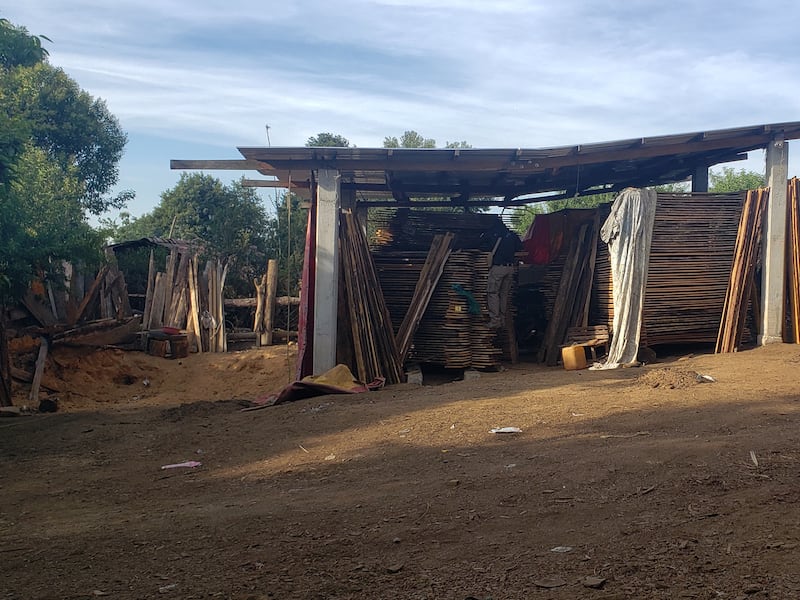 Profepa desmantela tres aserraderos ilegales en Acaxochitlán, Hidalgo