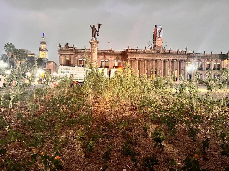 Las jardineras también lucen nuevo rostro con lantanas.