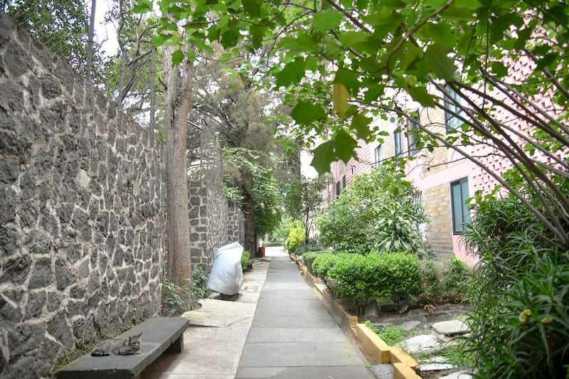 CDMX