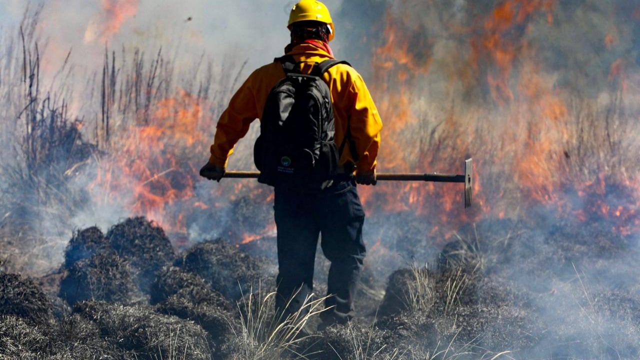 Querétaro registra peor inicio de incendios forestales en cinco años