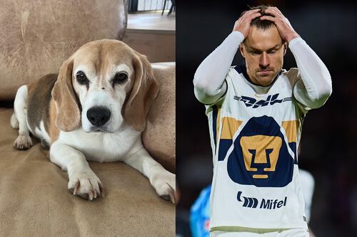 ¡Se va de México! Pumas habría roto contrato con Aaron Ramsey, tras la desaparición de su perro