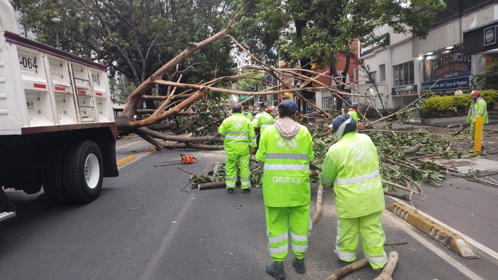 Viento en la CDMX activan alerta amarilla para 14 alcaldías