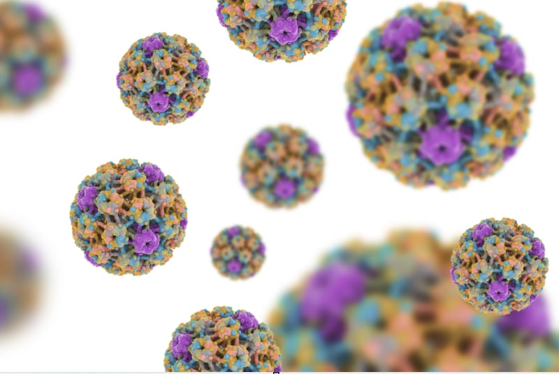 Virus VPH