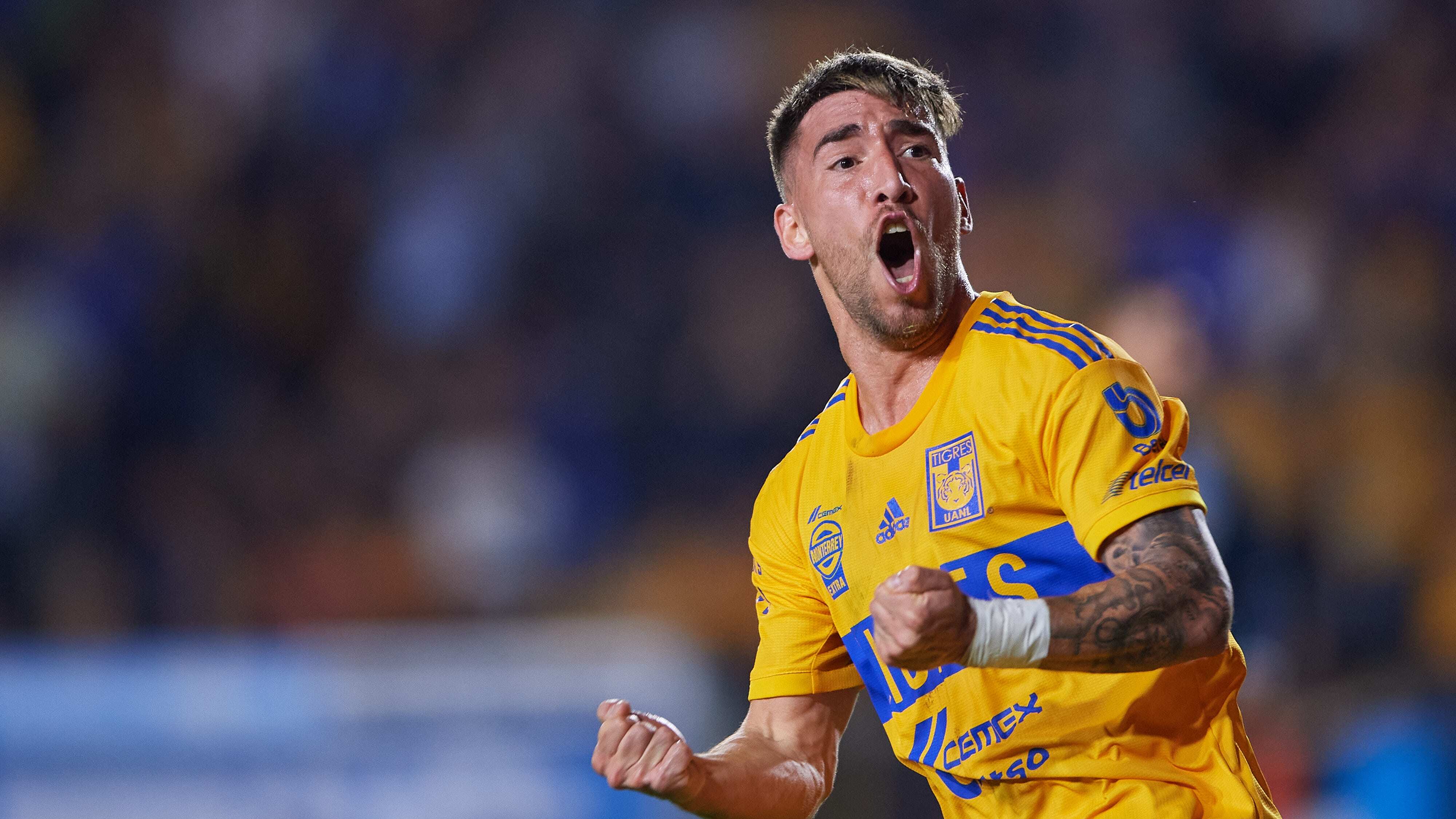Fernando Gorriarán Tigres