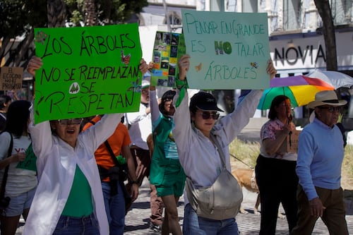 Gobierno descarta tala de árboles por Cablebús; señala al PAN de campaña en contra del proyecto