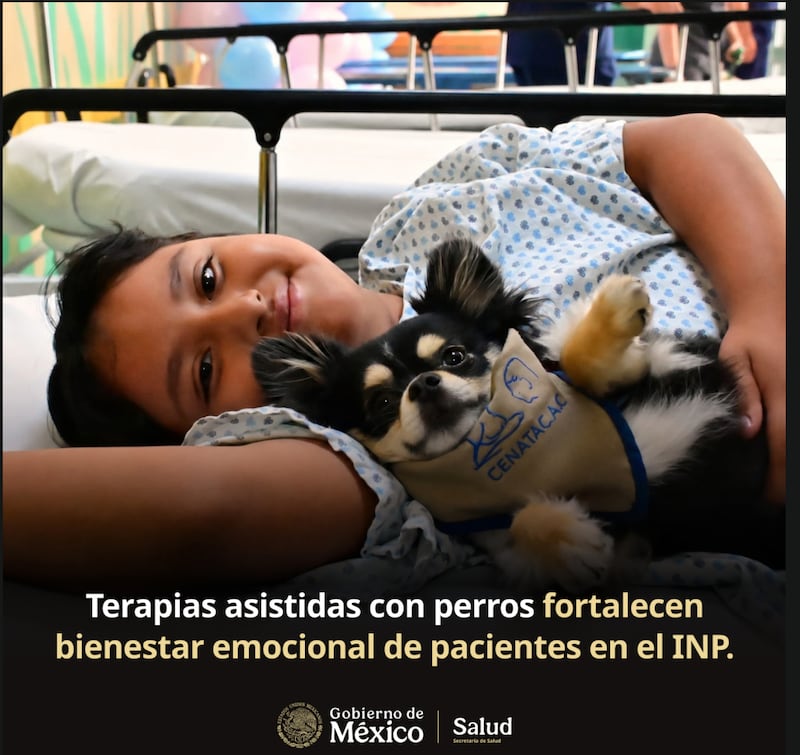 Terapias con perros