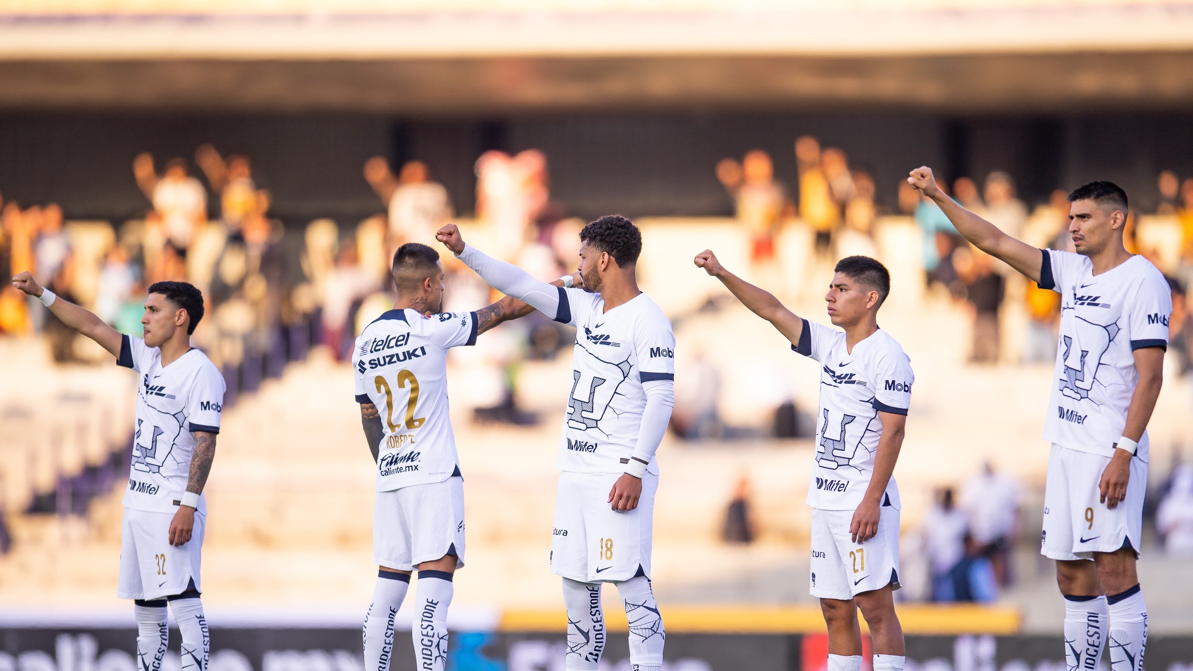 Pumas