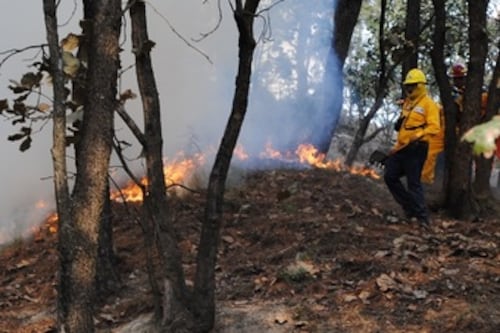 Incendios: Lluvias en Jalisco reducen a 120 mil las hectáreas afectadas en dos años