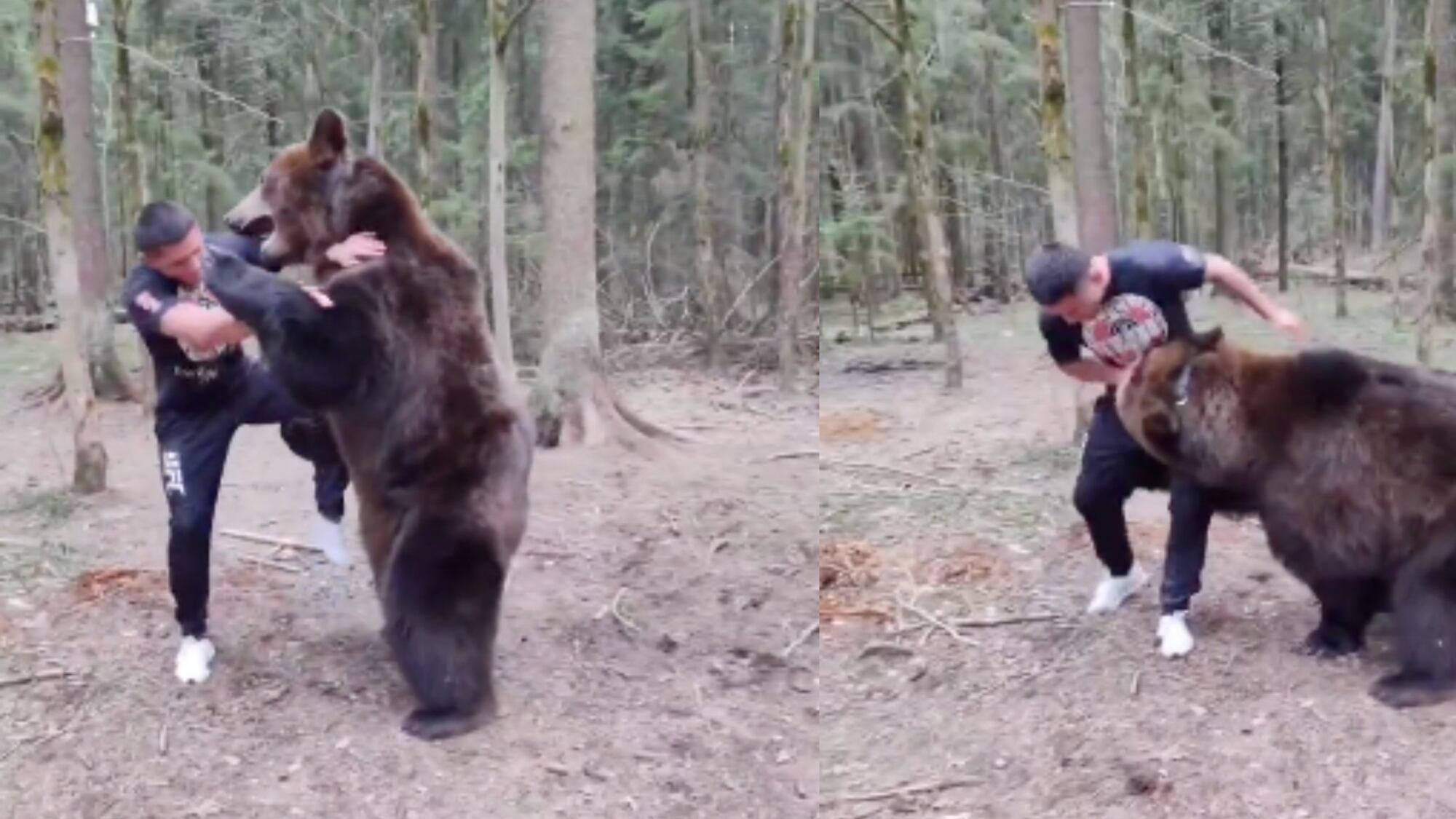 Yasubey Enomoto pelea con un oso