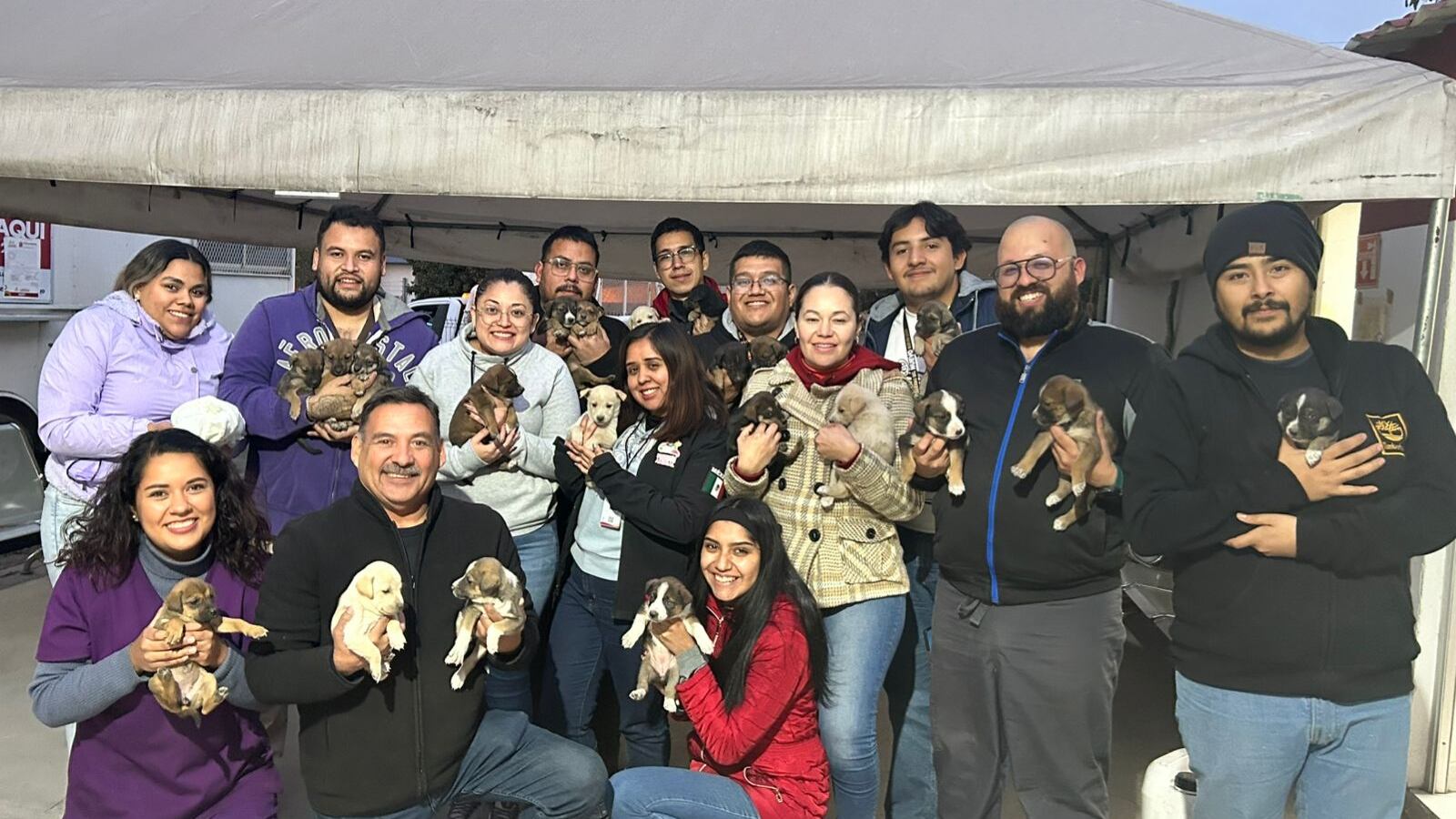 Para apoyar a los perritos se pueden comunicar al 81 13469355 vía Whatsapp donde se brindará los detalles de cómo se puede ser adoptante o ser hogar temporal.