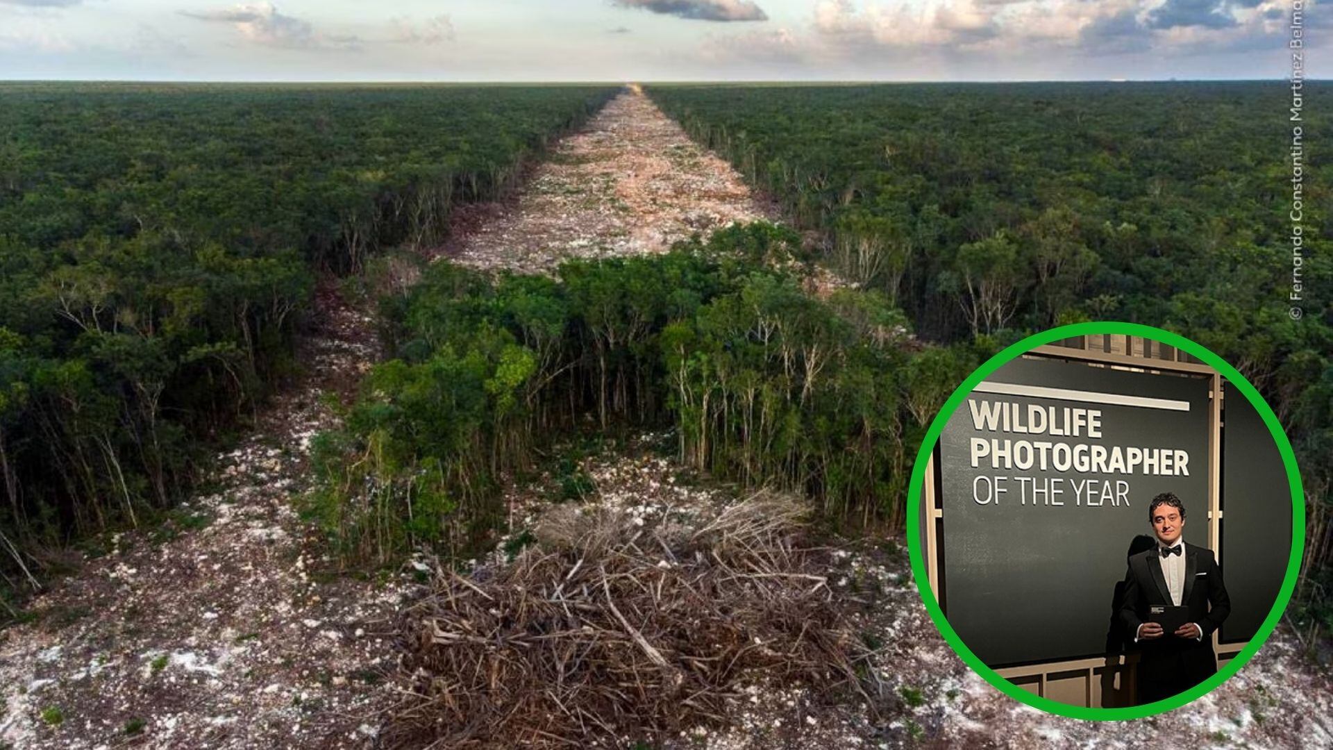 "Mexico’s tourism bulldozer" da muestra del daño causado por la maquinaria pesada que abre paso a las vías del Tren Maya.