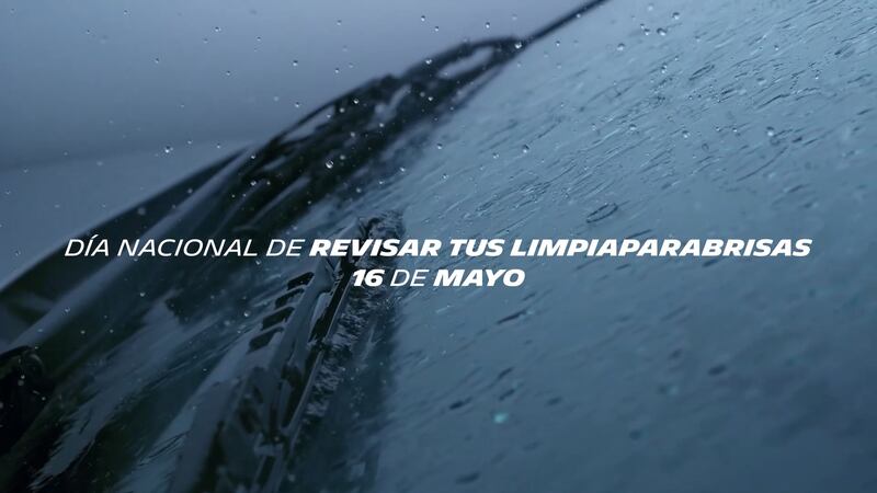 limpiaparabrisas