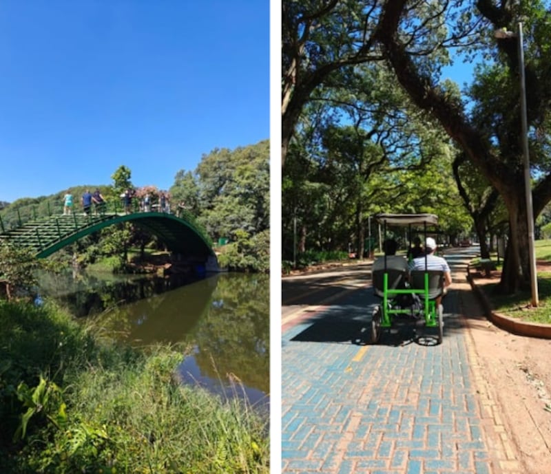 Cultura, fútbol, mercados y una energía vibrante hacen de São Paulo un destino que conecta de inmediato con los mexicanos. Conoce los lugares que hacen de esta metrópoli un viaje imperdible