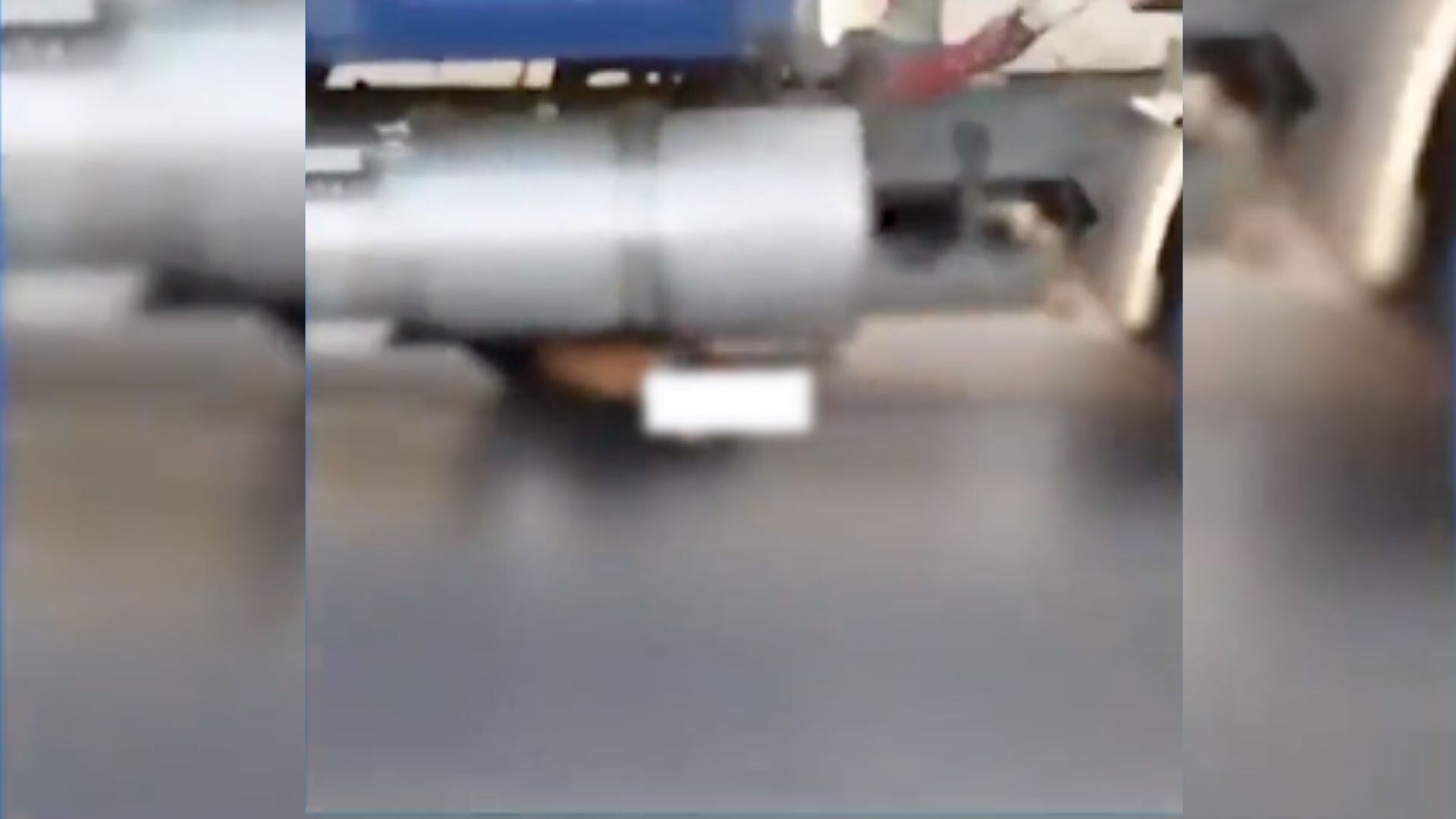 Se desconoce la fecha en que fue grabado el video y la identidad del presunto ladrón.