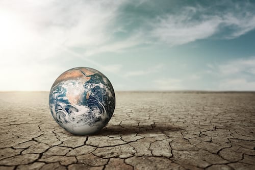 Impulsan alianzas para mitigar el cambio climático