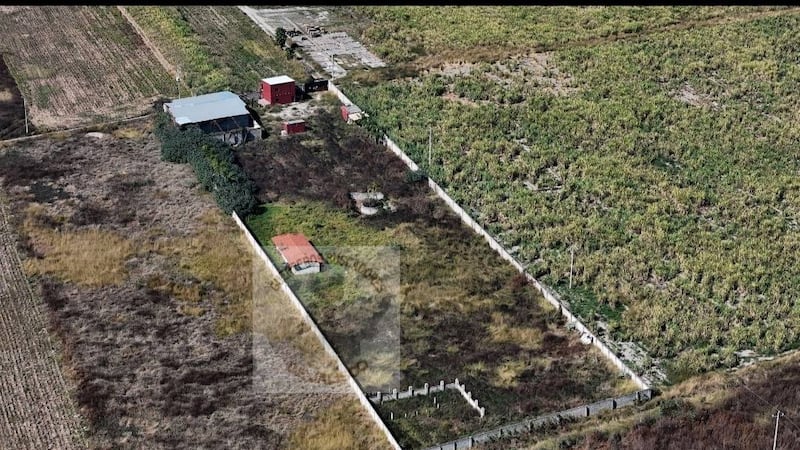 Nuevos hallazgos en el Rancho Izaguirre: restos humanos y casi 100 muestras de ADN